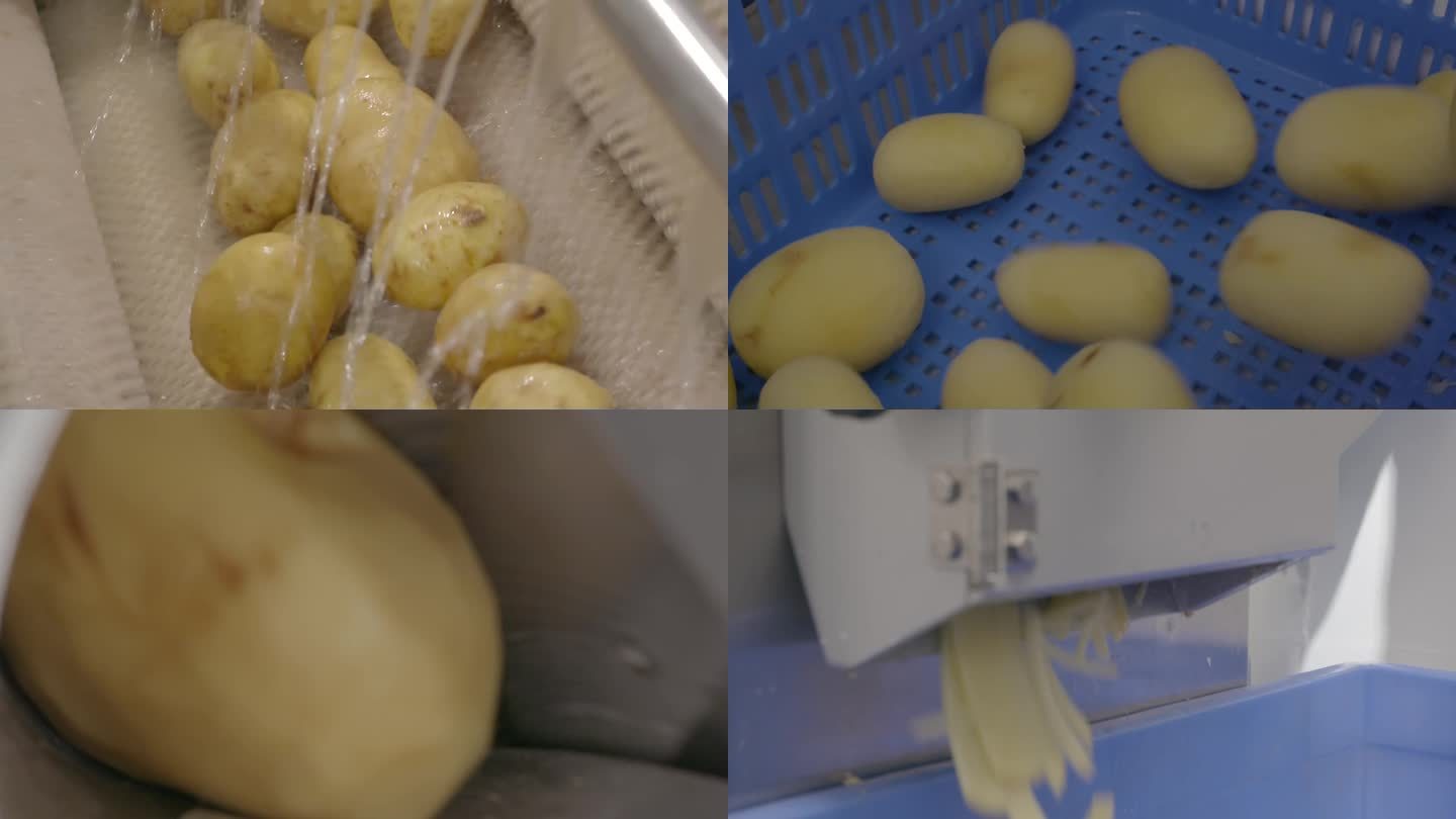 自动化蔬菜加工设备马铃薯土豆清洗削皮薯条