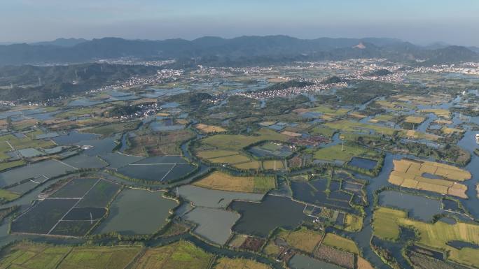 江南浙江绍兴诸暨白塔湖秋天稻田田野新农村