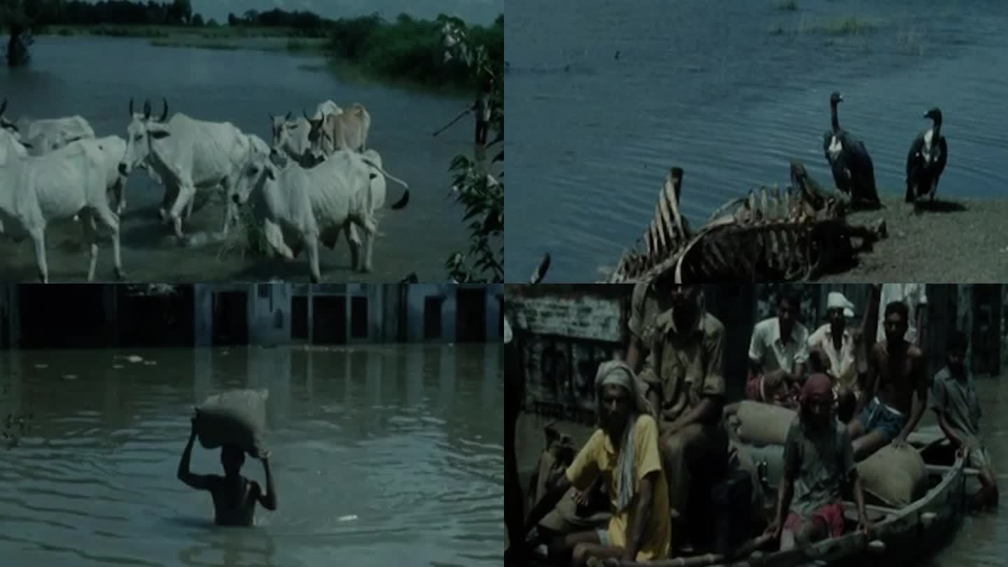 70年代印度洪水水灾灾民