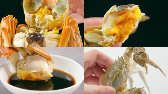 阳澄湖大闸蟹 蟹膏 蟹黄 美食