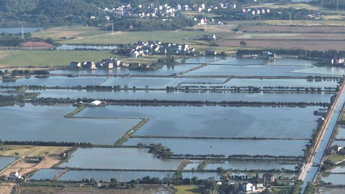 航拍江南浙江绍兴诸暨山下湖水面珍珠养殖