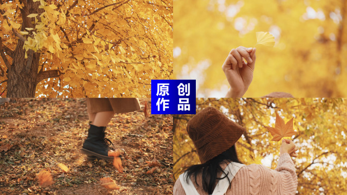 秋色唯美秋天女孩金黄的秋天采风金黄落叶