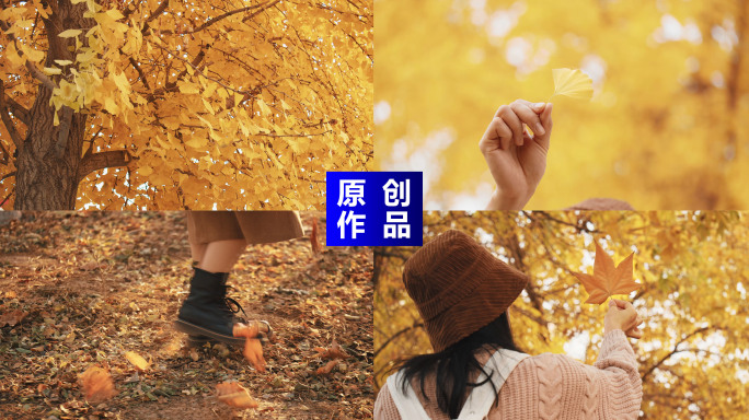 秋色唯美秋天女孩金黄的秋天采风金黄落叶