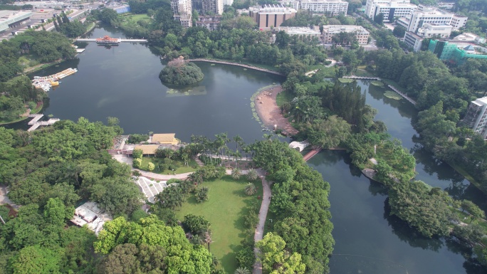 深圳荔枝公园航拍罗湖区
