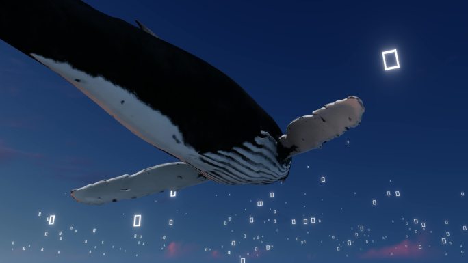 鲸鱼飞行穿梭时空门时光门多镜头组合素材