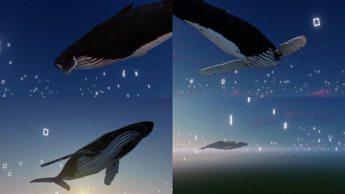鲸鱼飞行穿梭时空门时光门多镜头组合素材