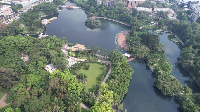 深圳荔枝公园航拍罗湖区