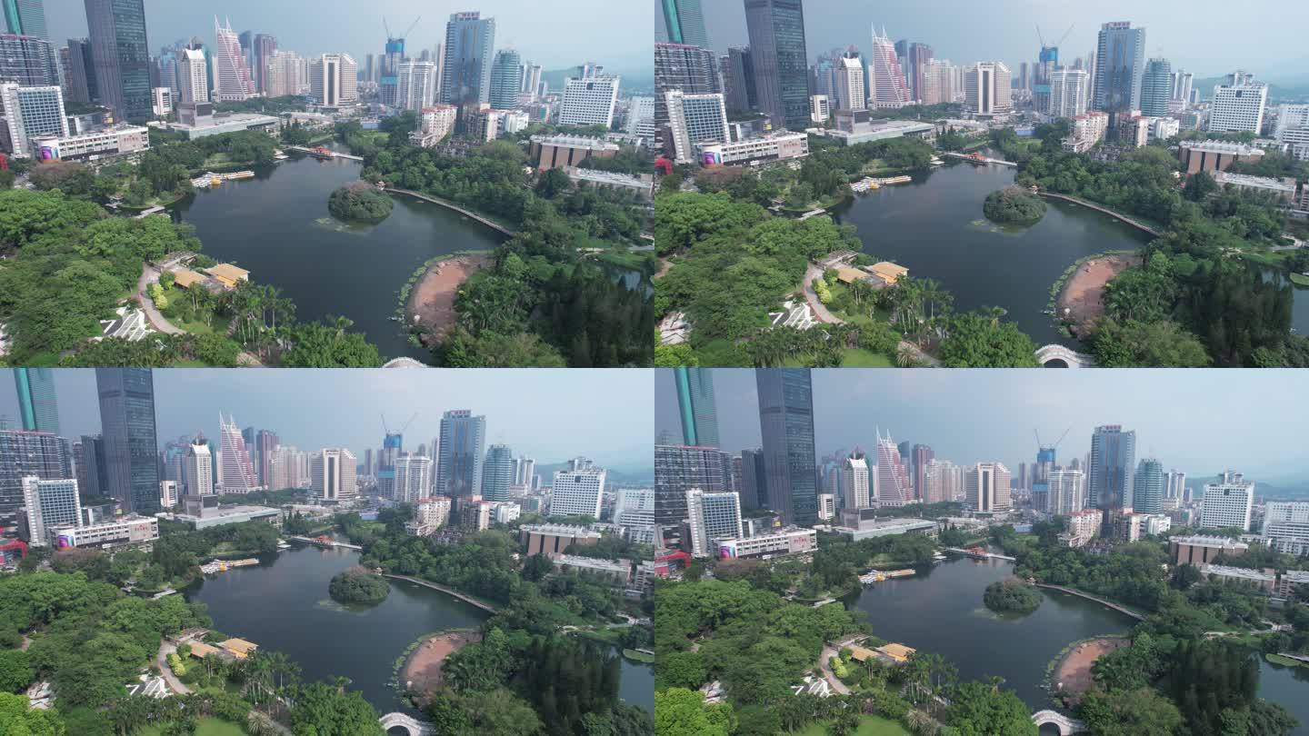 深圳荔枝公园航拍罗湖区