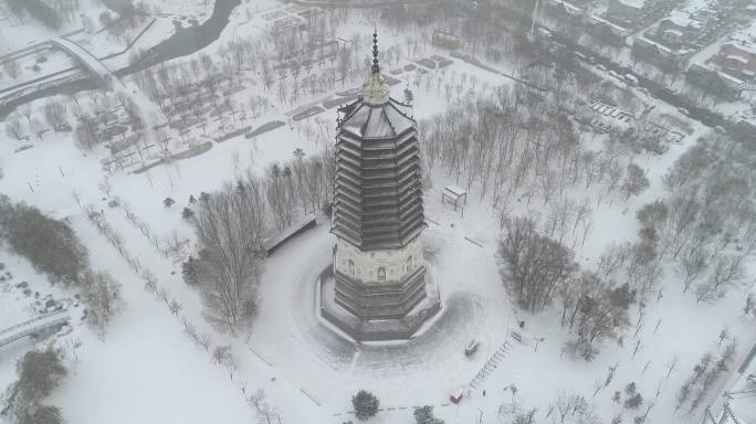 冬季 古塔  下雪  雪景 寒冷