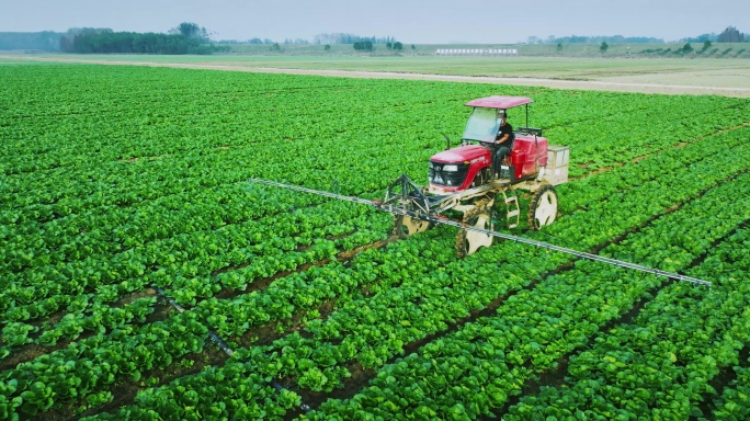 5K蔬菜基地机器喷洒农药
