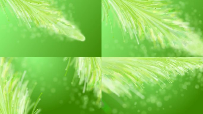 绿色唯美羽毛线条粒子生长背景