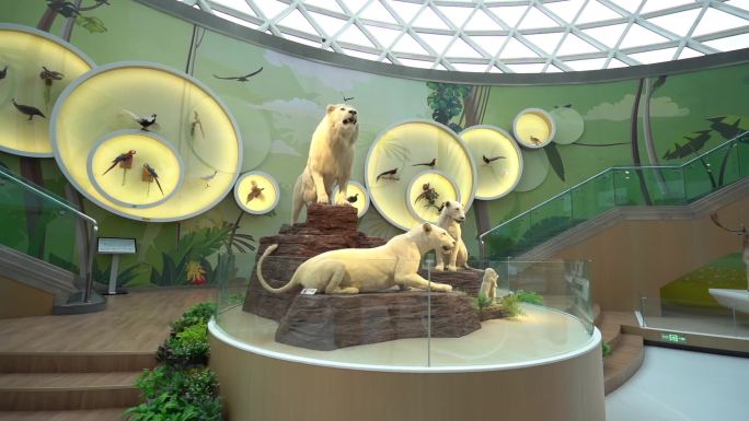 陕西自然博物馆动物展厅22