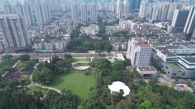 深圳荔枝公园航拍罗湖区