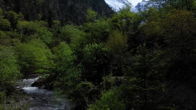 高原雪山融水溪流