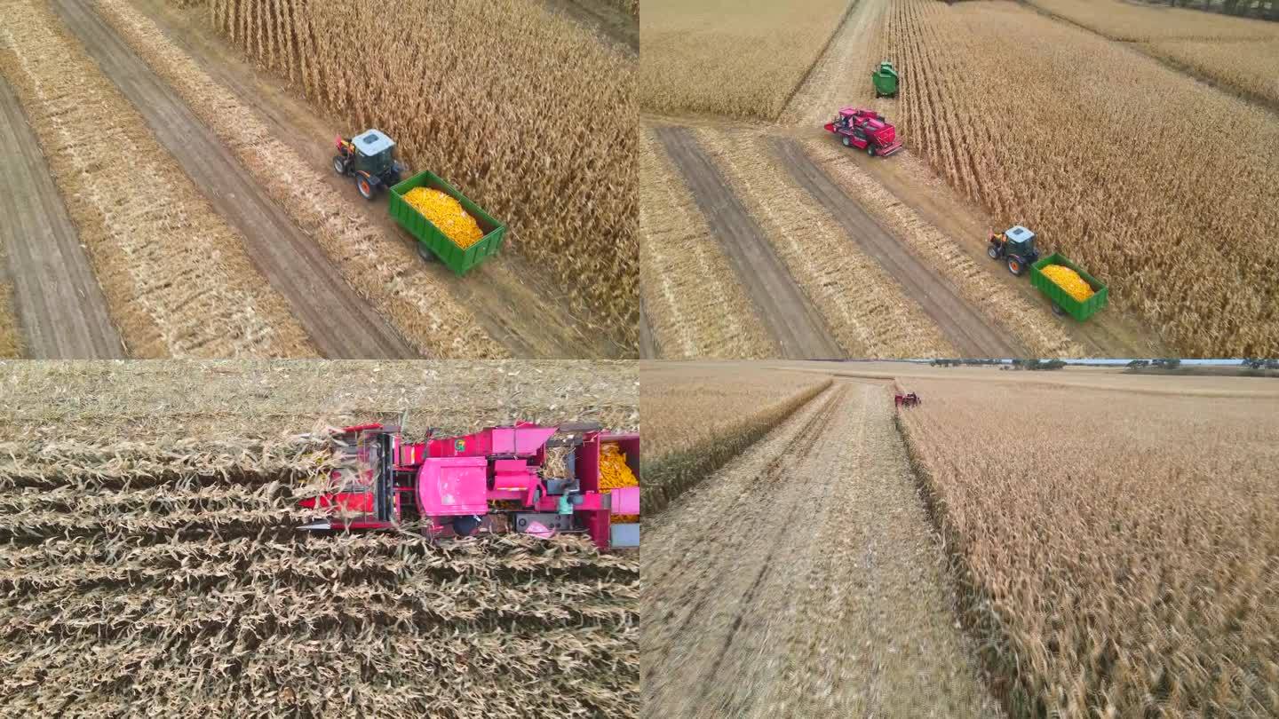玉米收割运粮车农村农业2