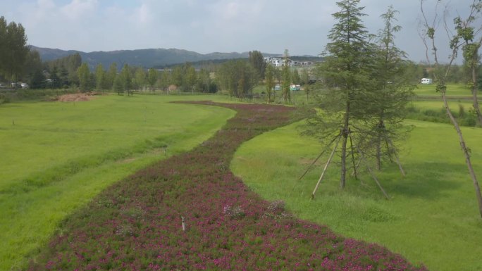 绿地花圃航拍山野