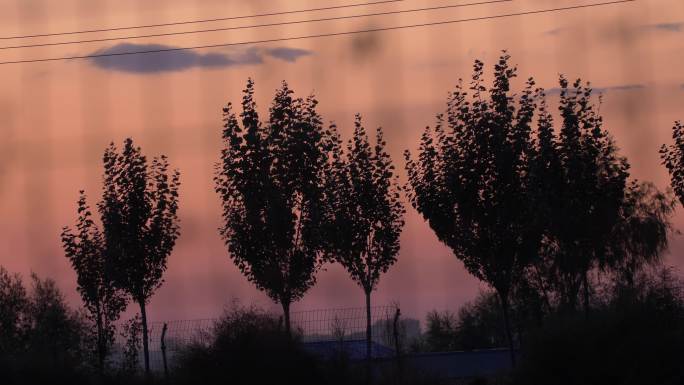 夕阳日落晚霞傍晚剪影大树