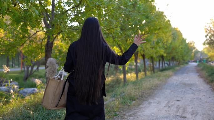 长发飘飘的女子背影 都市女性