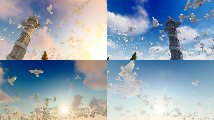 白鸽飞过蓝天白云和华表柱视频素材