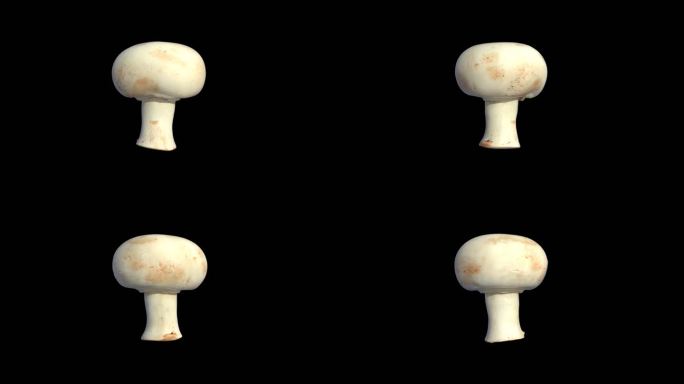 三维写实蘑菇