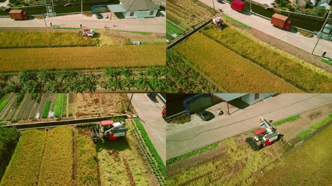 水稻收割机航拍收割机顶视图共富新质生产力