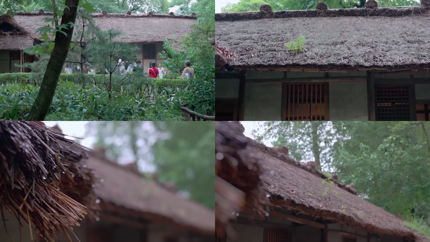 雨后草堂茅草屋古人住宅游览观光