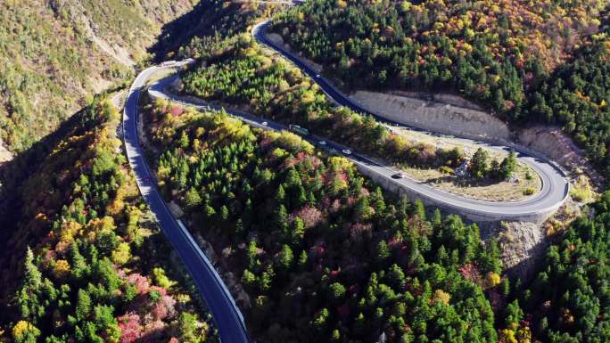 高原盘山公路秋色4K