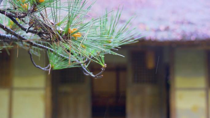 杜甫草堂茅屋为秋风所破