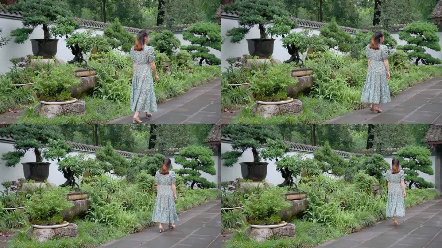 女生走在盆景园林散步观赏