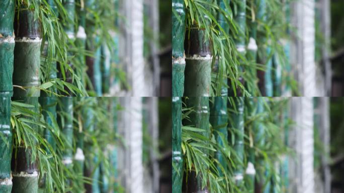 竹子和传统岭南园林窗户