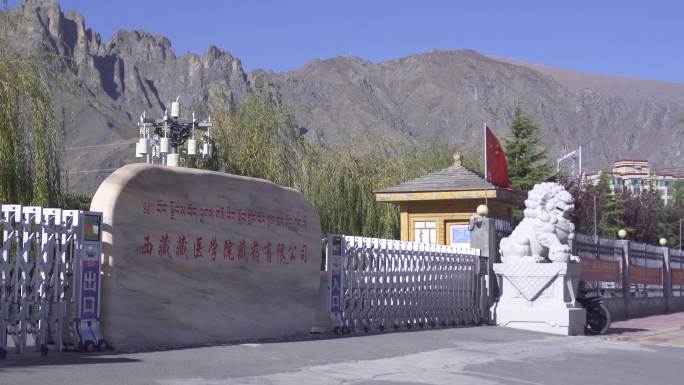 藏医药 中医 藏医学院 本土医疗