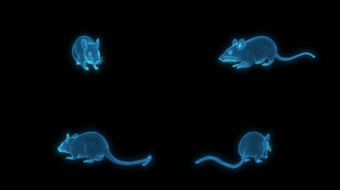 蓝色科技全息线框老鼠素材带通道