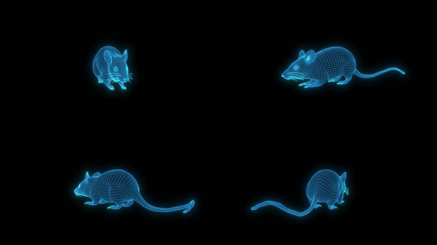 蓝色科技全息线框老鼠素材带通道