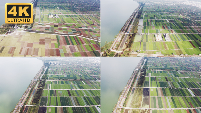 【4K】俯瞰农田，阡陌农田，绿油油的农田