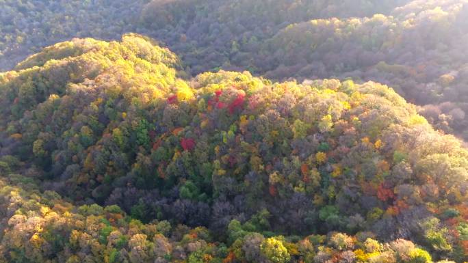 航拍秋季色彩缤纷的群山