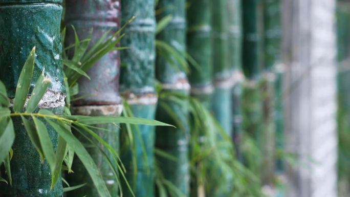 竹子和传统岭南园林窗户