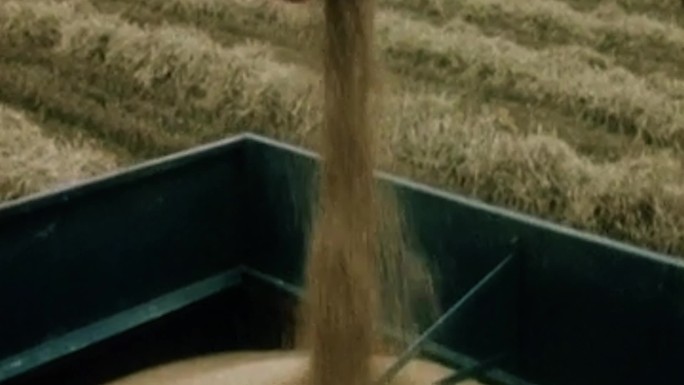 70年代小麦水稻谷物收割机脱粒机