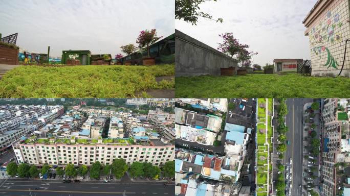 4K公园城市 屋顶花园延时 低碳  改造