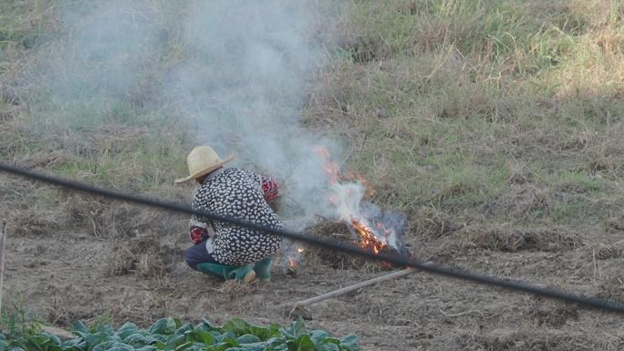 焚烧杂草火焰烟雾真实火焰燃烧农妇烧火堆