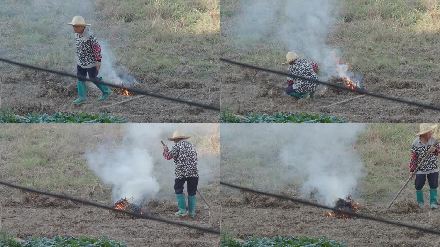 焚烧杂草火焰烟雾真实火焰燃烧农妇烧火堆