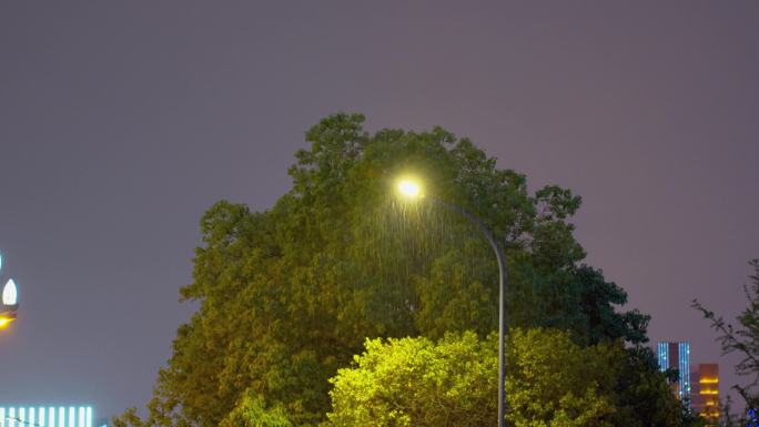 夜晚下雨路灯