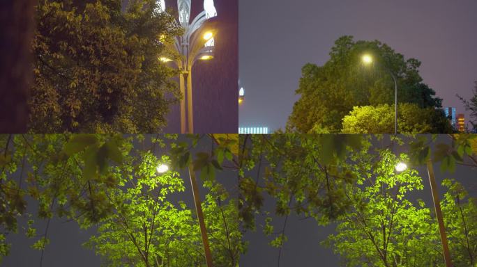 夜晚下雨路灯