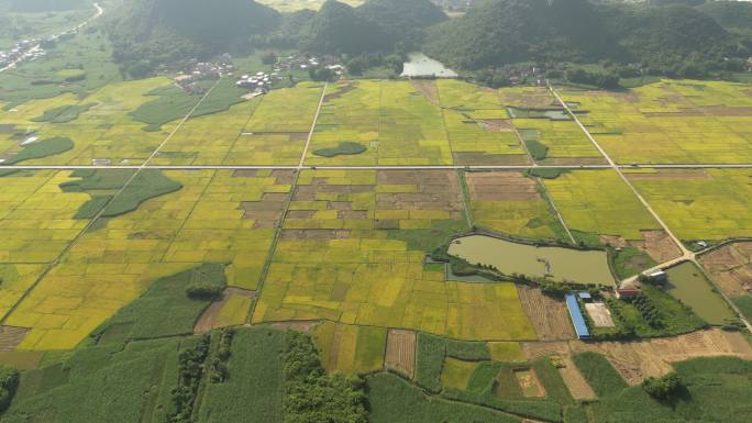 大地 田园