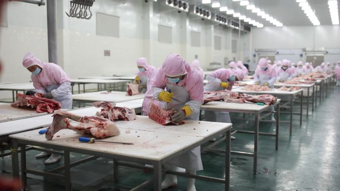 肉类加工 牛肉生产流水线视频素材