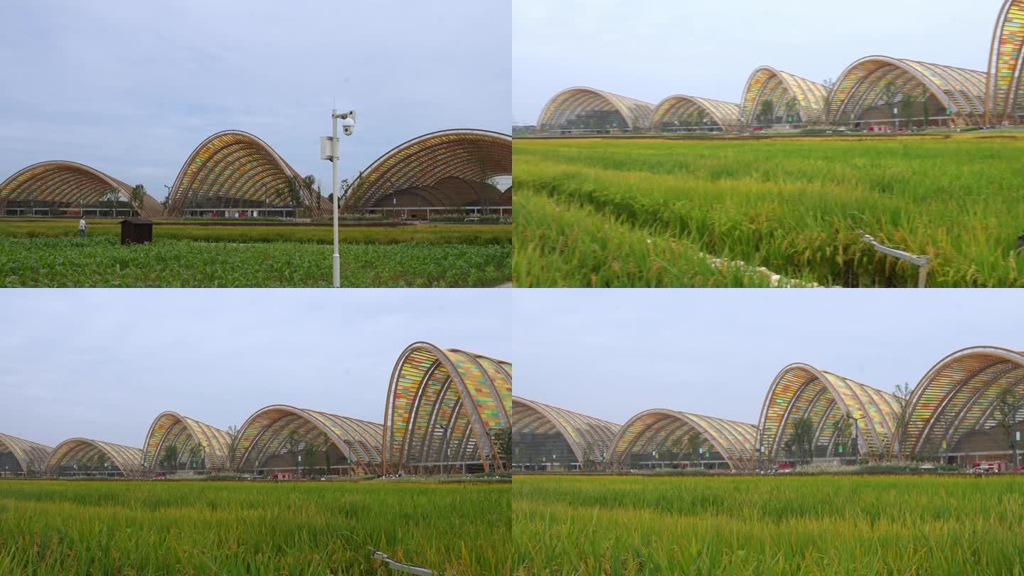 中国农业博览园