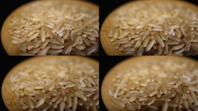 燕麦大麦麦子粗粮粮食