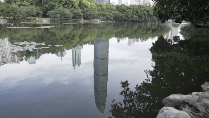 深圳罗湖京基100湖面倒影