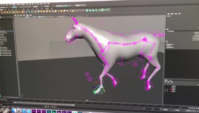 生物马模型，绑定权重都已经做完maya