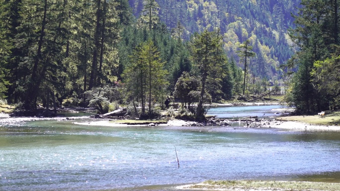 高山湖泊