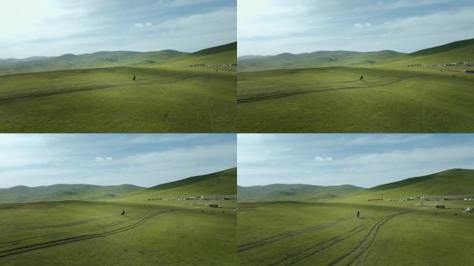 新疆那拉提草原 草原 空旷 美景